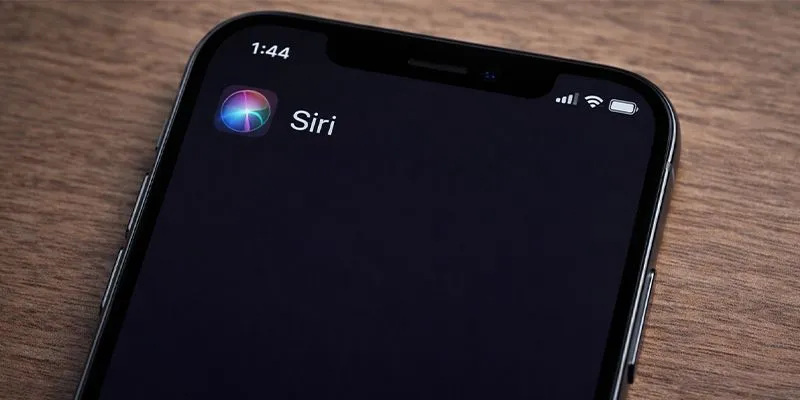 07988555.jpg 07988555.jpg